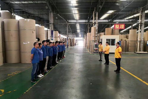 花園建材榮膺東陽市中小企業(yè)市長科技創(chuàng)新獎，引領(lǐng)行業(yè)綠色轉(zhuǎn)型新篇章